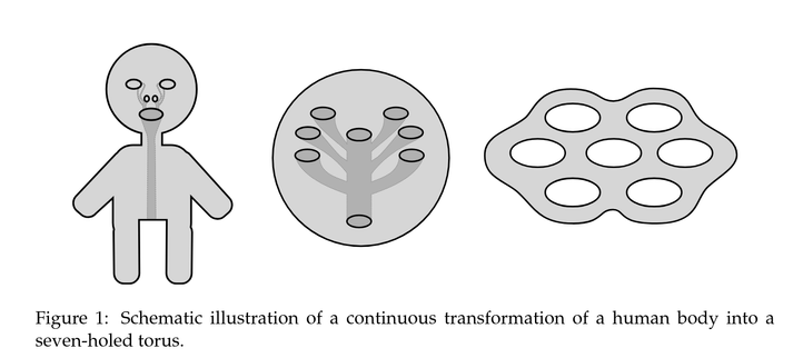 Figure 1: Schematic illustration of a continuous transformation of a human body into a seven-holed torus.