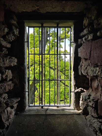 A photo of a window of an old watchtower, with iron bars. Outside, you can see the bright green leaves of a tree.
