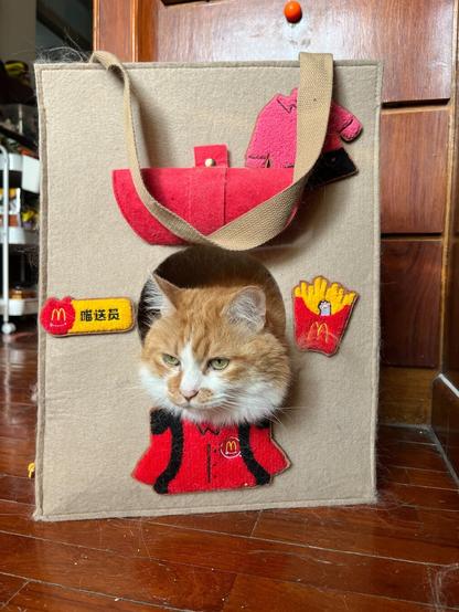 An orange and white cat looking out of a felt looking bag with McDonald’s patches on it