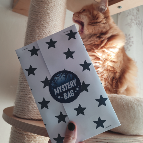 hand holding up a mystery bag with my ginger cat yawning in the background