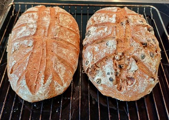 Zwei frische freigeschobene Brote, rechts mit Rosinen.