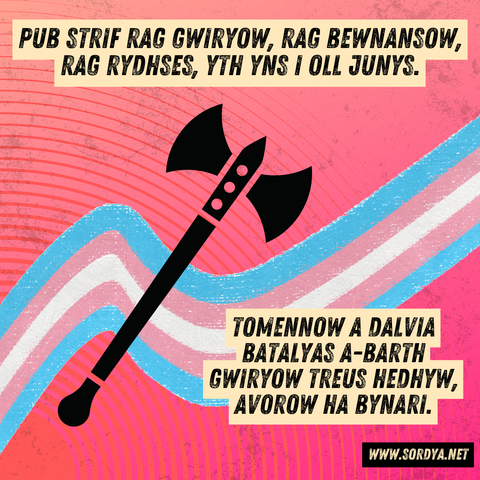 A background of a trans flag ribbon over a sunset pink gradient. In front, a labrys. Text reads: "Pub strif rag gwiryow, rag bewnansow, rag rydhses, yth yns i oll junys."