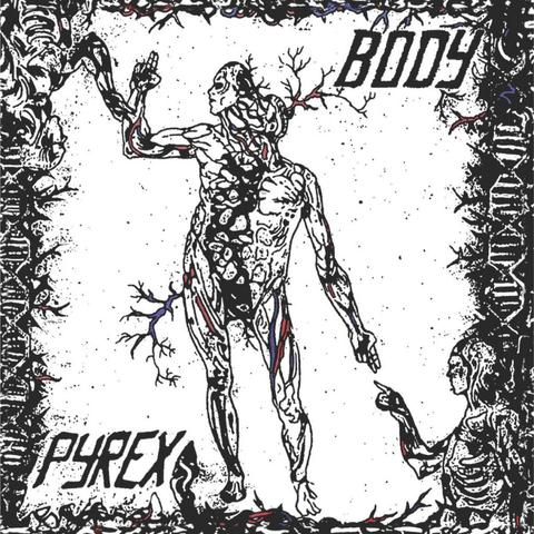 L'anatomia di un corpo umano in bianco e nero, con occasionali vene e arterie colorate di rosso e di viola. Il corpo è come spezzato nel mezzo e ha il volto rivolto in alto a sinistra, con il braccio destro sollevato, da dove spunta, capovolto, un altro corpo umano che pare di una donna che tocca il braccio dell'uomo. In basso a destra c'è il busto di un altro corpo umano che punta il braccio destro e un dito verso il braccio sinistro del corpo umano protagonista, che ha due dita tese verso il basso: le dita dell'uno e dell'altro stanno quasi per toccarsi, come nel famoso dipinto di Michelangelo nella Cappella Sistina. A cornice della scena sono disegnate delle catene di Dna (?), dei rami e del filo spinato occasionalmente colorato di rosso e viola. In alto a destra è scritto Body, in basso a sinistra Pyrex