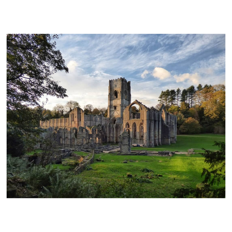 This is a landscape format colour image of the ruins of Fountains Abbey in Yorkshire. Taken during the golden hour, the low sun highlights the warm tones in the stone of the central ruins (nave, tower, choir, etc). Taken in late summer, the grass in the foreground is lush and the sky behind the tree line in the background is blue with wispy clouds.