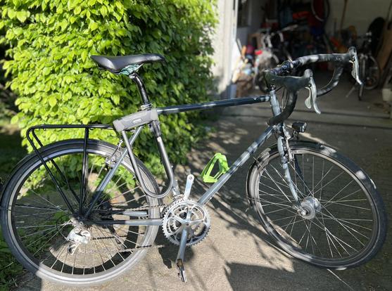 A bicycle in front of a hedge.