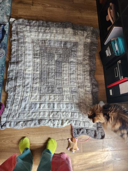 A knitted blanket stretched out on the floor. One edge is still being worked. The rectangular blanket is knitted in a spiral from the center out. The colors range from creamy white to dark gray. One of the cats whose fur is in the yarn is sniffing at one corner. My feet appear at the bottom.