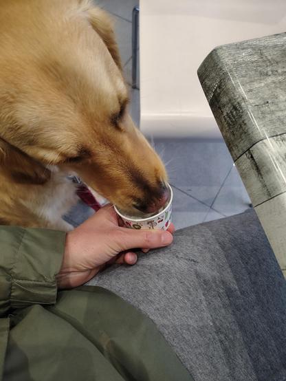 Io guardo Fenny mangiare il gelato