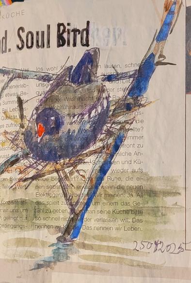 Aquarellskizze auf Zeitungspapier, im Header steht "Soul Bird", darunter ein Teichhuhn auf einem Nest im Rohbau