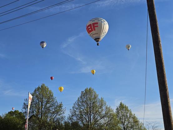 Das Bild zeigt eine idyllische Szene mit mehreren Heißluftballons, die in einem klaren, blauen Himmel schweben. Im Vordergrund sind grüne Bäume zu sehen, die die Landschaft umrahmen. Einige Ballons sind in verschiedenen Farben wie Rot, Gelb und Weiß, während ein Ballon mit den roten Buchstaben "BF" und einem weißen Hintergrund im Zentrum des Bildes besonders hervorsticht. Die Ballons sind unterschiedlich groß und verteilt sich über den Himmel, einige höher und andere niedriger. Im oberen Bereich des Bildes sind Stromleitungen zu sehen, die sich über den Himmel spannen. Ein Holzpfosten ist im rechten Bereich des Bildes sichtbar. Die Szene vermittelt ein Gefühl von Freiheit und Abenteuer, typisch für Heißluftballonfahrten.
