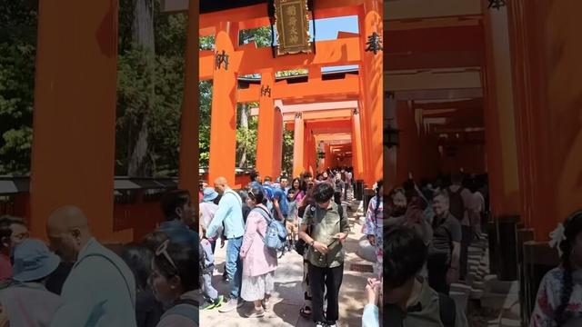 2025年4月26日（土）週末の京都伏見稲荷大社に外国人大殺到！週末大批外國人湧向京都伏見稻荷大社！Weekend at Fushimi Inari Shrine in Kyoto