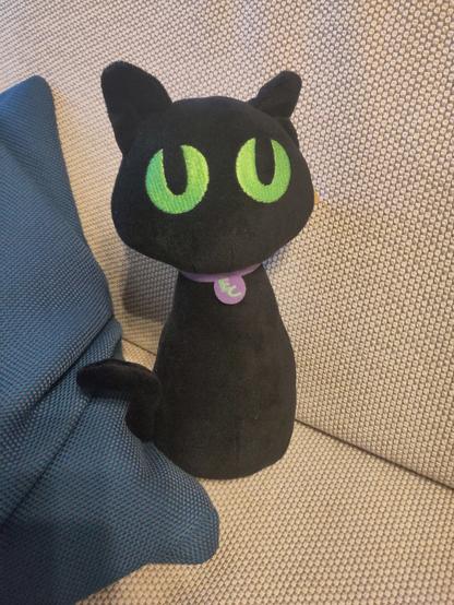 Black cat (Zoey) plushie on a sofa