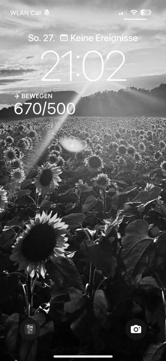 Ein Schwarz-Weiß-Bild eines Sonnenblumenfeldes, mit der Zeit als 21:02 und einem Bewegungstracker, der den Fortschritt anzeigt. Sonnenlicht erzeugt ein weiches Leuchten über den Blumen.