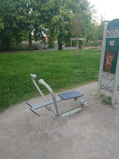 Bodylift rower machine at the park