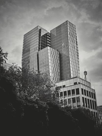 The image is a black and white portrait-orientated photograph of a skyscraper building complex. The complex consists of several interconnected structures of different heights. The taller sections feature extensive glass facades with a grid pattern. The lower sections have multiple rows of rectangular windows. Trees and other foliage are visible in the foreground, especially in the lower-left corner, partially obscuring the lower part of the building. A mast or antenna is present on the roof of one of the lower structures. The sky is overcast with clouds.
