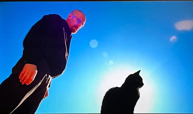 A black cat sitting in front of a TV in the center of a shining sun; Walter White seems to be looking at her.