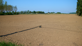 Fin avril, autre champ préparé à la monoculture. On ne voit que de la terre, il n'existe aucune couverture végétale. Malgré un temps doux et humide depuis deux semaine, tout est déjà sec.