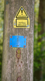 Poteau téléphonique en bois, marqué d'une étiquette "vigilance, poteau déclassé", avec plus bas quelque poinçons anciens de contrôle