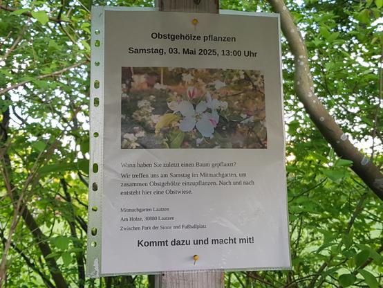 Plakat mit den gleichen Infos wie im Beitragstext.