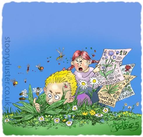 Girl with a handful of botanical posters of clover, devils bit scabious, and narrow leaved plantain yelling at her brother who is lying in the grass among daisies and buttercups admiring the seed heads of rib-wort plantain (scabiosa lanceolata). All on a sunny day with loads of bees and other insects buzzing about.