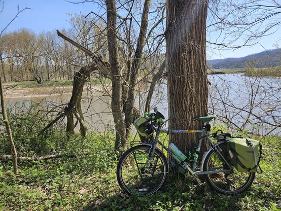 A bicycle with green bags leans against a tree. The grass is green. Behind is a blue river. Trees on the other side riverbank has some leaves. A bluff is visible beneath a blue sky.