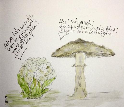 Zeichnung aquarelliert Cartoonart. Links im Bild steht ein Blumenkohl. Rechts neben diesem ein großer Parasolpilz. Der Blumenkohl „sagt“: Also ich werde heute paniert und gebraten! Und Du? Der Parasol „antwortet“: Ha! Ich auch! Zumindest mein Hut! sagte die Königin.