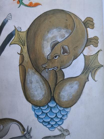 A medieval painting of a beaver. The front end looks like a stoaty sort of creature; the back end has two big drumstick legs with webbed feet, pointing toward the front, and a similarly shaped tail sticking up between them, which the beaver appears to be chewing on. Out the bottom of the beaver comes a large, roughly triangular shape made up of blue overlapping scales, a bit like a bunch of grapes.