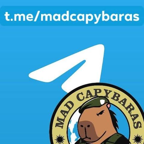 El logo del avión de papel blanco sobre fondo azul de telegram y parte del logo del grupo Mad Capybaras.