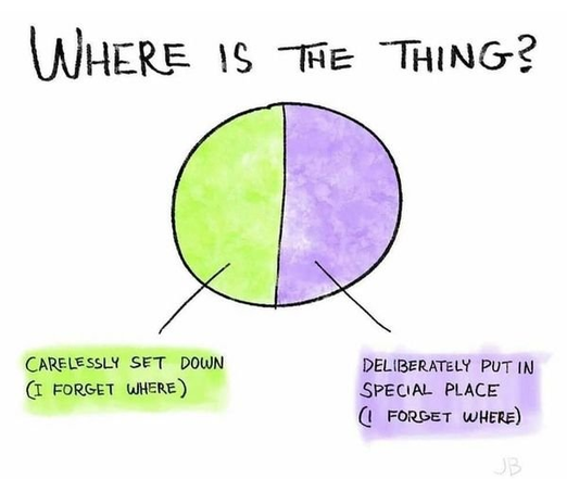 Image of a hand-drawn pie chart titled "Where is the Thing?"
One half is labelled "Carelessly set down (I forget where)" and the other half is labelled "Deliberately put in special place (I forget where)".