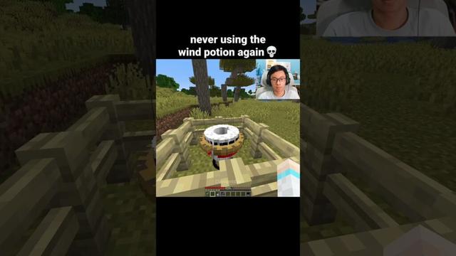 Minecraft Wind Potion Moment