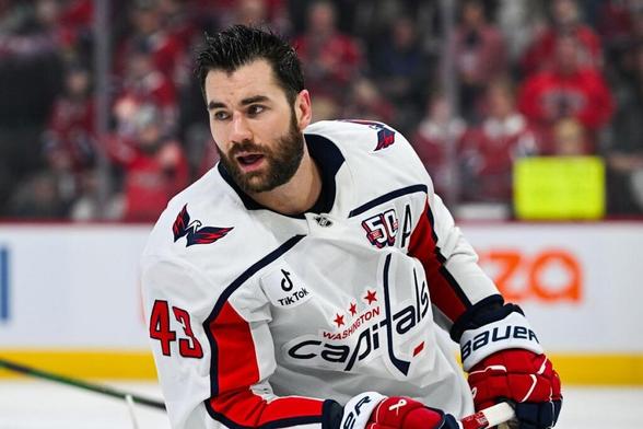 Masters Of Mayhem: NHL Pests Are Thriving This Playoff Season