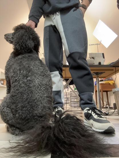 Me in my craft room, wearing color-blocked sweatpants and black-and-white striped sneakers, front view, with my lovable poodle mix sitting at my feet, filling most of the picture.