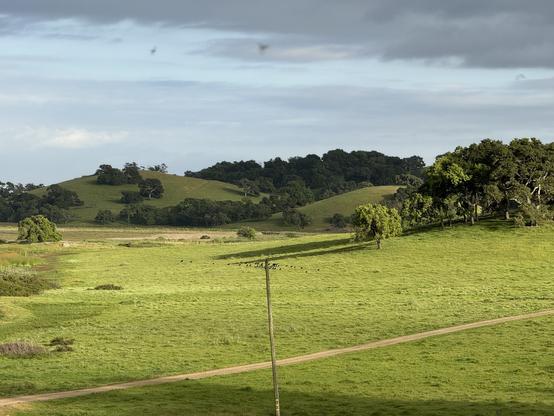 Photo of two bright green, grassy hills with lush trees under a blue sky with fluffy clouds.