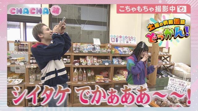 「土曜の情報缶詰　どっかん！」☆CHACHA旅☆2025年4月26日放送