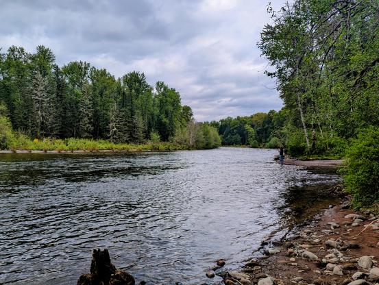 river and river bank, green forest and blue sky with clouds