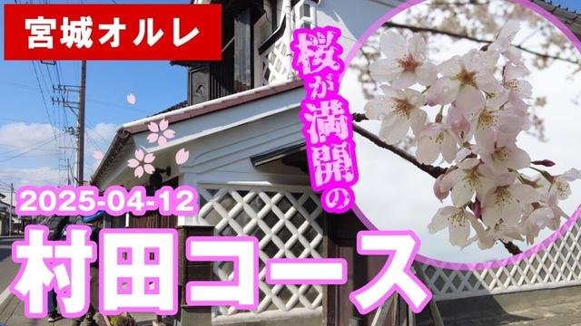 2025年4月12日(土)　無理しない中高年登山【たんぽぽ会】宮城県村田町の桜満開の春の里山と歴史深い蔵の町並みをめぐるトレッキング「宮城オルレ　村田コース」
