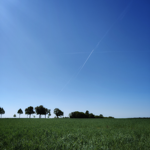Blauer Himmel, grünes Feld