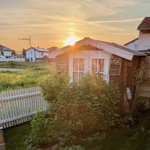 Bild mit Gartenhaus und aufgehender Sonne)
