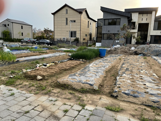 Urban agriculture