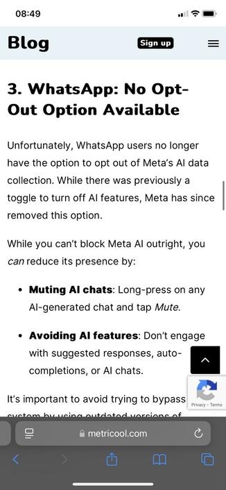 Screenshot Metricool zegt dat je niet kunt optouten van gebruik ai in whatsapp