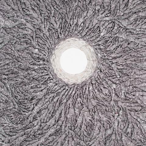 Detail of abstract line-based ink drawing