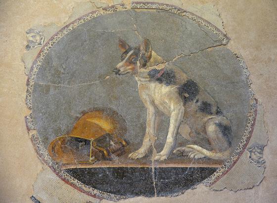This Ptolemaic (2nd century BCE) mosaic emblema depicts a dog seated next to a gilded vessel that seems to have been turned over. Who could possibly say who is responsible? This mosaic is made in the opus vermiculatum technique and can be seen today at the Bibliotheca Alexandrina Antiquities Museum. Photo credit to Carole Raddato via World History Encyclopaedia.