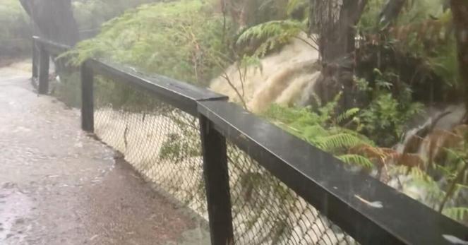 Floods, road closures in Australia as storms lash some bushfire-hit regions