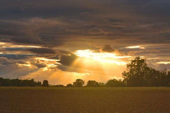 Eine Landschaftsaufnahme mit einem Feld im vordergrund und Bäumen im Hintergrund. Durch den Bewölkung Himmeln kommen in der Bildmaterial starke goldene Sonnenstrahlen. / A landscape shot with a field in the foreground and trees in the background. Strong golden rays of sunlight shine through the cloudy sky.