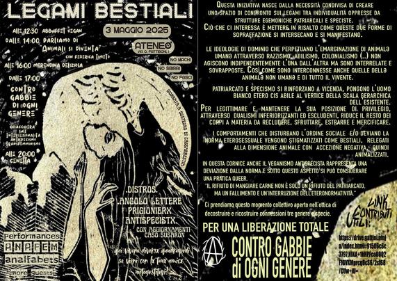 LegamiBestiali 03\05 Ateneo Occupato