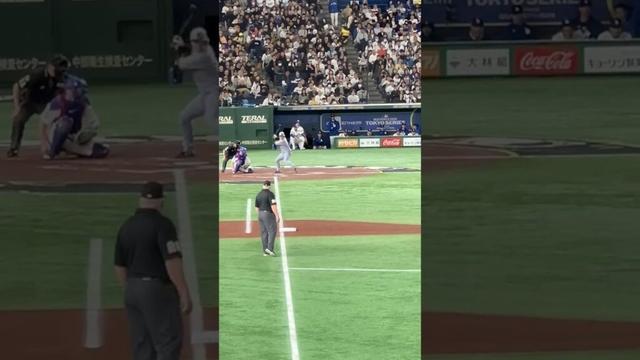 【MLB】Tokyo  2025  阪神タイガースvsロサンゼルス　ドジャース　大谷翔平　山本由伸　佐々木朗希　メジャーリーグ選手  東京ドーム