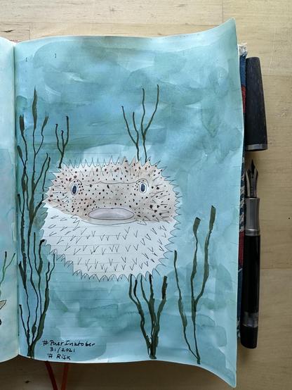 Sketch in sketchbook of a pufferfish swimming between some sea plants.