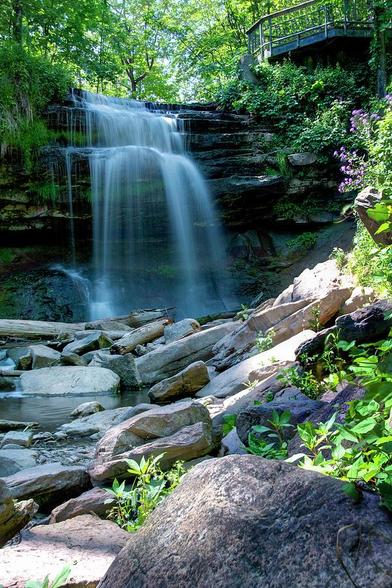 A waterfall flows down a rocky cliff in the middle of a forest in Hamilton, Ontario with a viewing platform visible above.