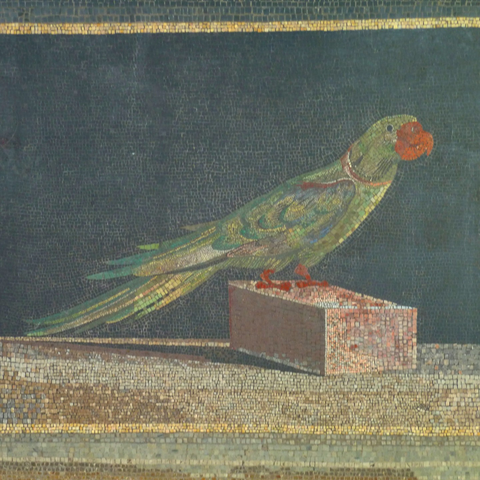 detail of a floor mosaic depicting a parrot