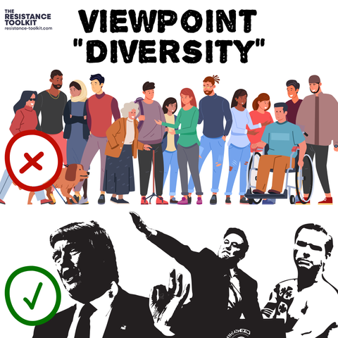 Title reads Viewpoint "Diversity". A group of diverse people standing and talking and laughing together with a red circle and X hovering over them. Below them are black and white images of Trump, Musk, and Hegseth with a green circle and check mark hovering next to them.