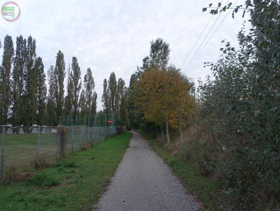 Geschotterter Fußweg zwischen Sportplatzzaun und Böschung, zahlreiche Bäume in Vorder- und Hintergrund